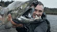 Last of the Giants: Wild Fish on Disney+ South Africa | English Reality ...