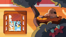 Bluey Kids Series, now streaming on Disney+