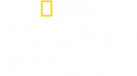 Secrets of the Zoo Reality Series, now streaming on Disney+ Hotstar