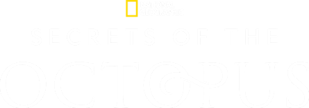 Disney+ The greatest stories, all in one place