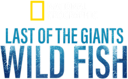 Last of the Giants: Wild Fish Reality Series, now streaming on Disney+