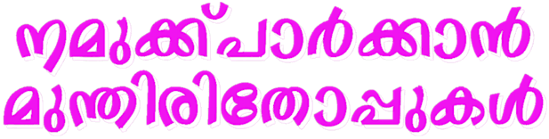 Namukku Parkkan Munthiri Thoppukal Hotstar