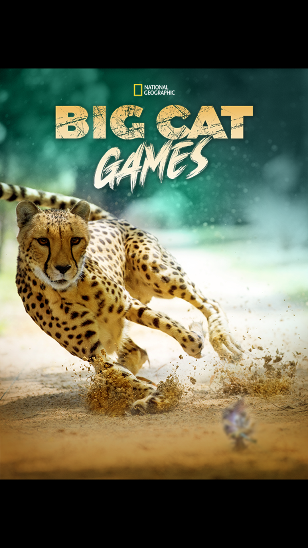 Disney+ | The greatest stories, all in one place