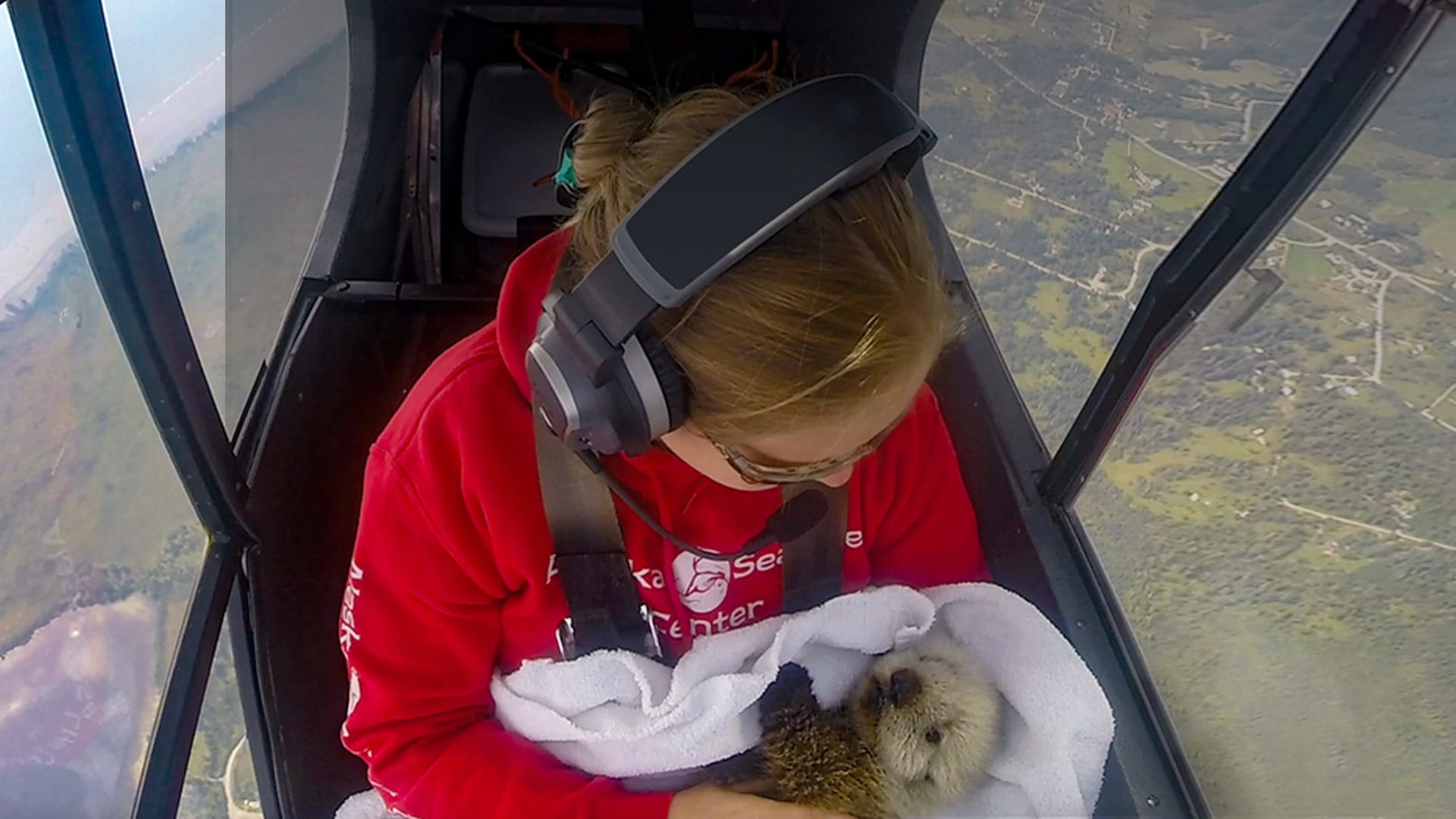 Alaska Animal Rescue on Disney+ South Africa | English Reality Series