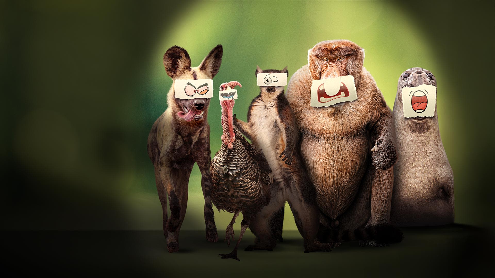 underdogs-documentary-disney