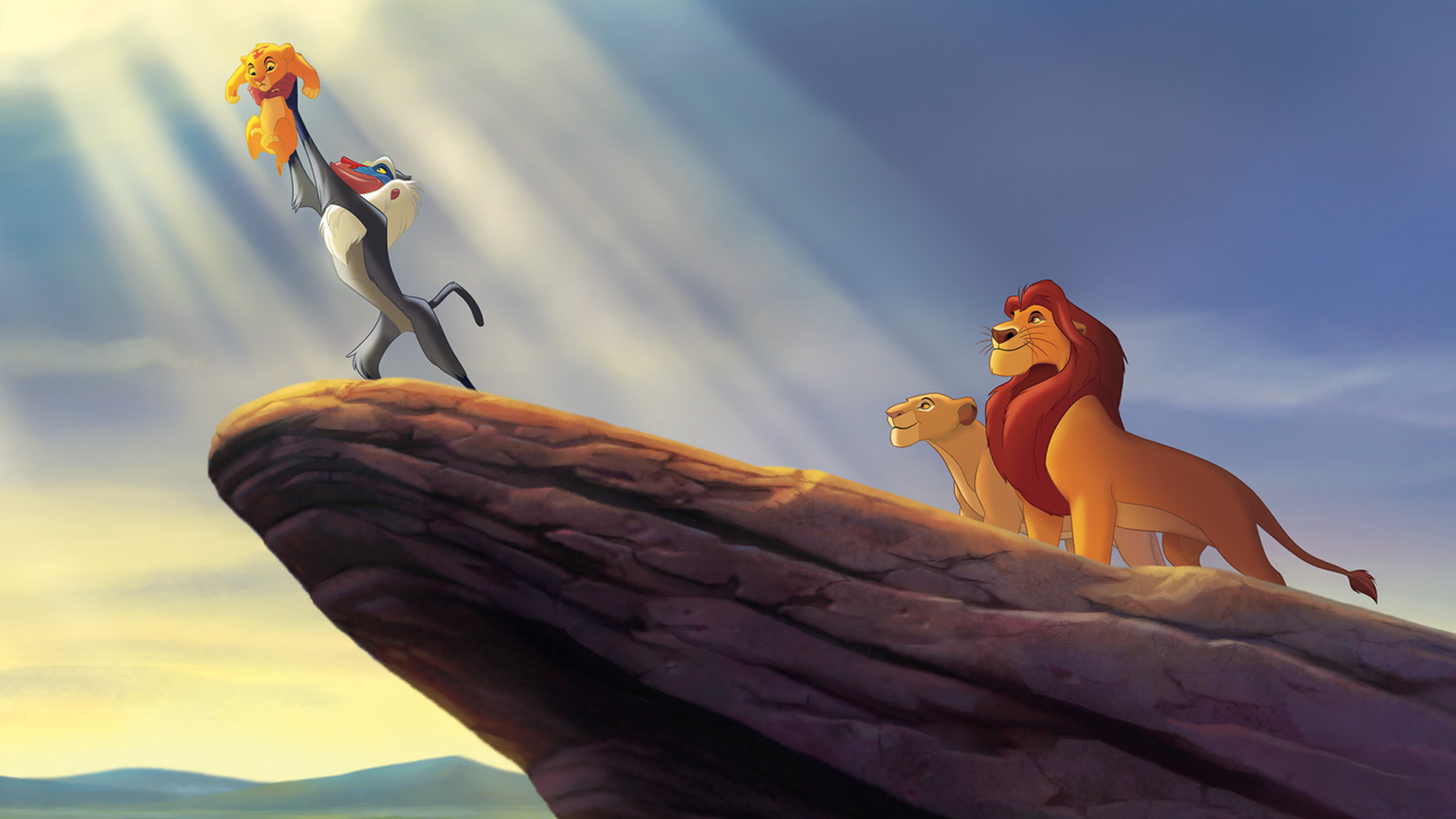 The Lion King On Disney South Africa English Animation Movie