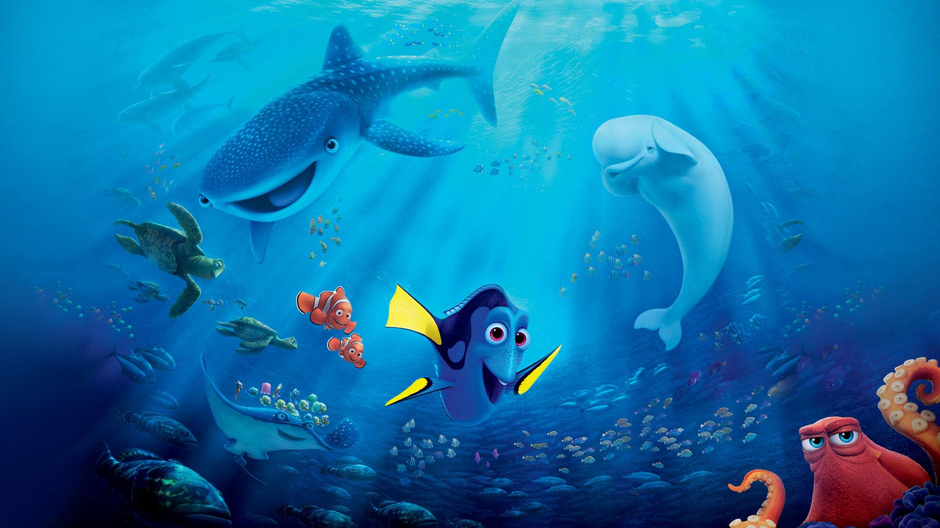 Finding Dory on Disney+ South Africa | English Animation Movie