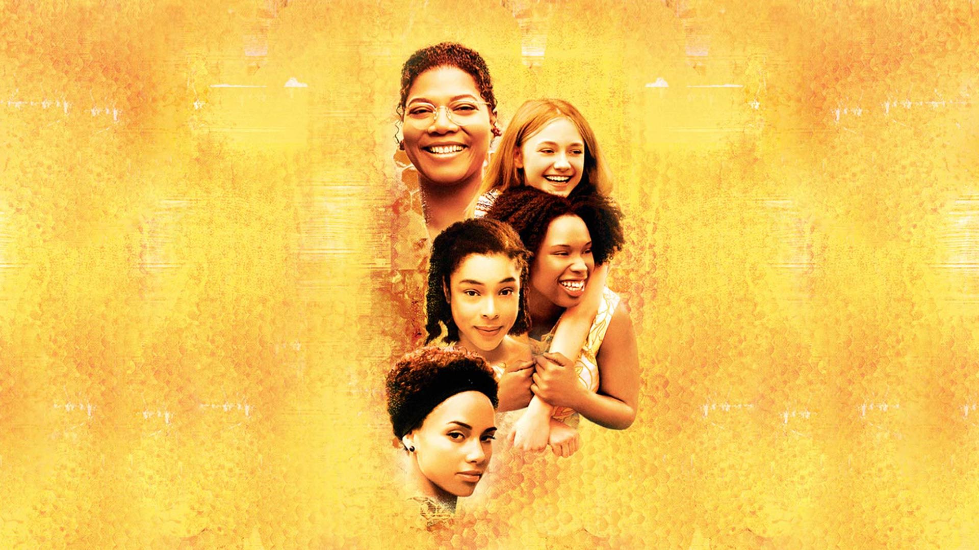 The Secret Life of Bees - Disney+