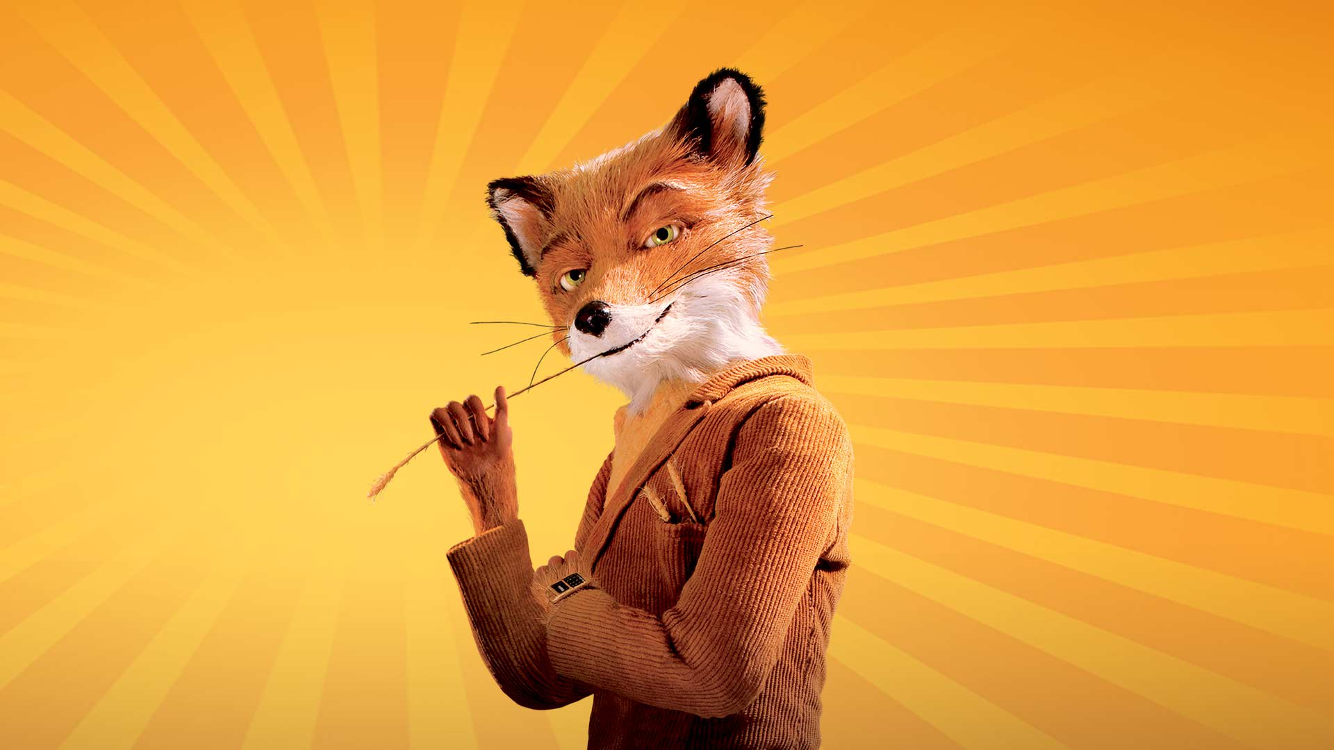 Fantastic Mr Fox Movie 60 Photos - Moonagedaydream.film