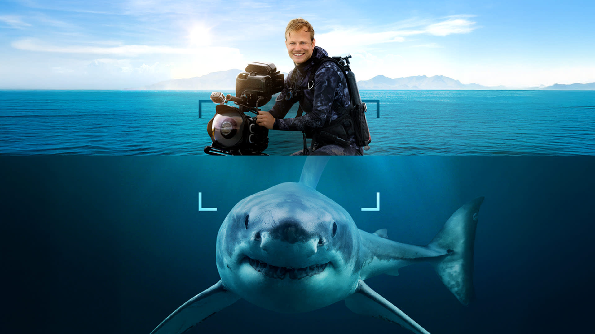 Sharks Up Close with Bertie Gregory on Disney+ Morocco English