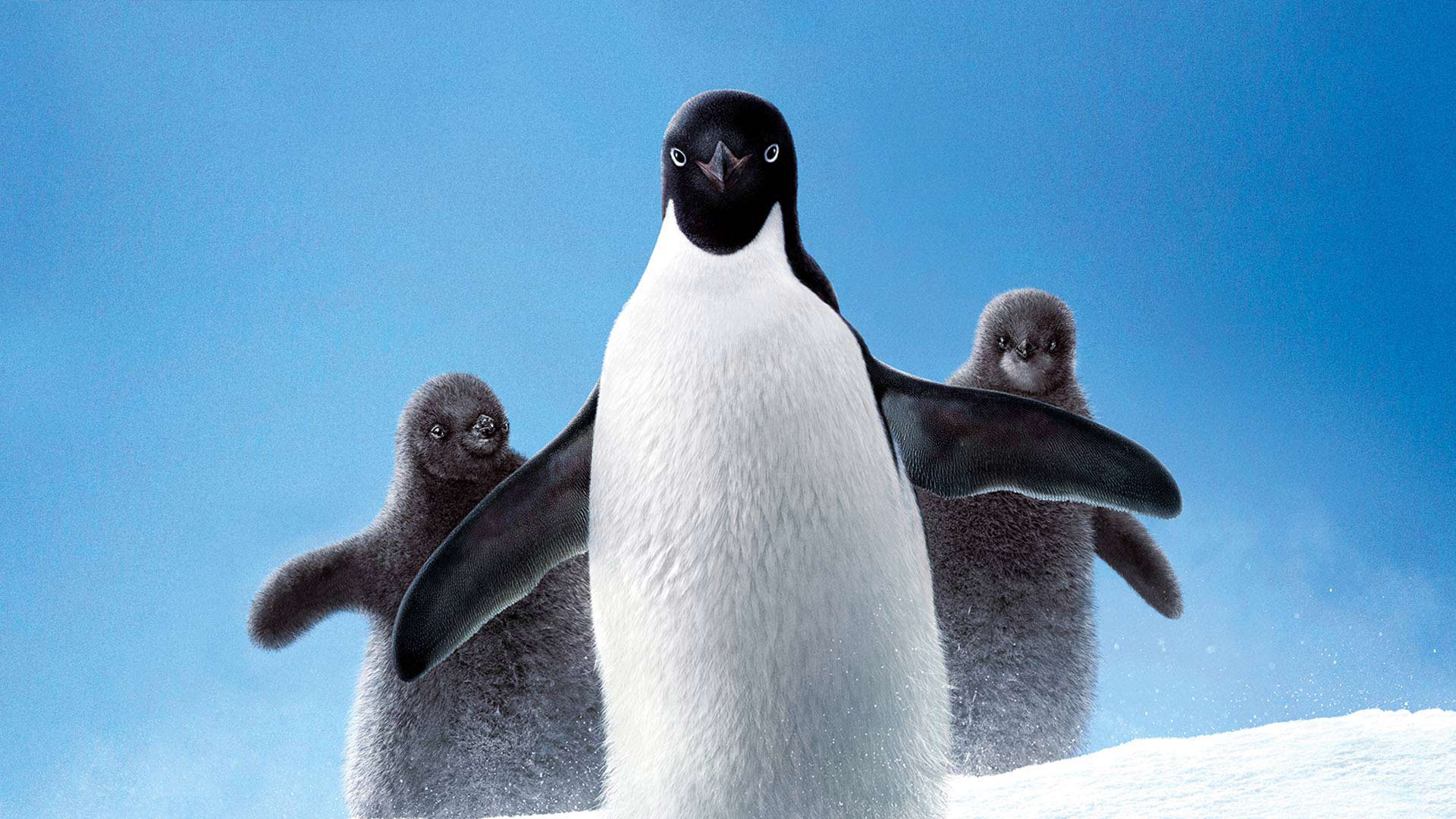 Penguins Disney+