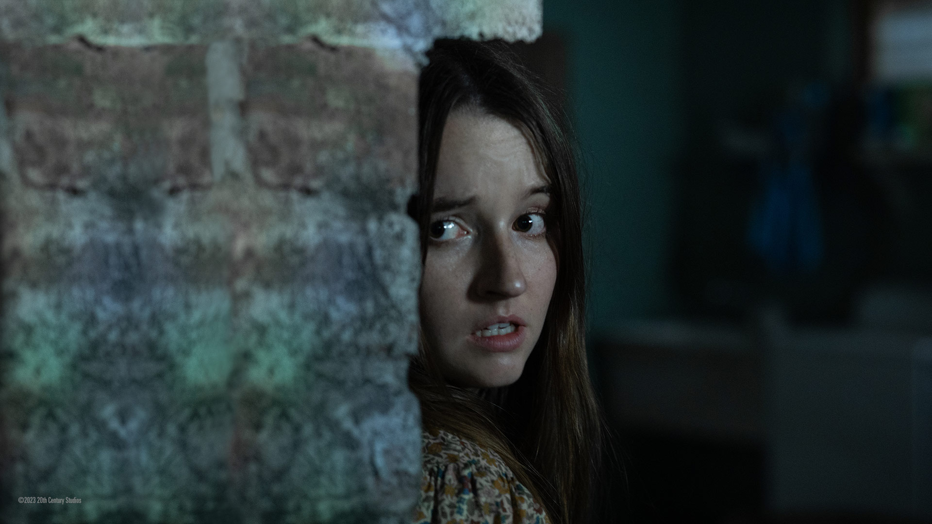 Disney+ Hotstar - Watch TV Shows, Movies, Specials, Live Cricket & Football