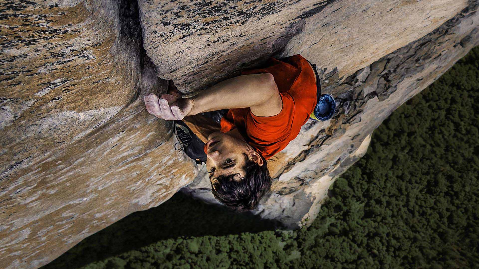 Free solo streaming online honnold