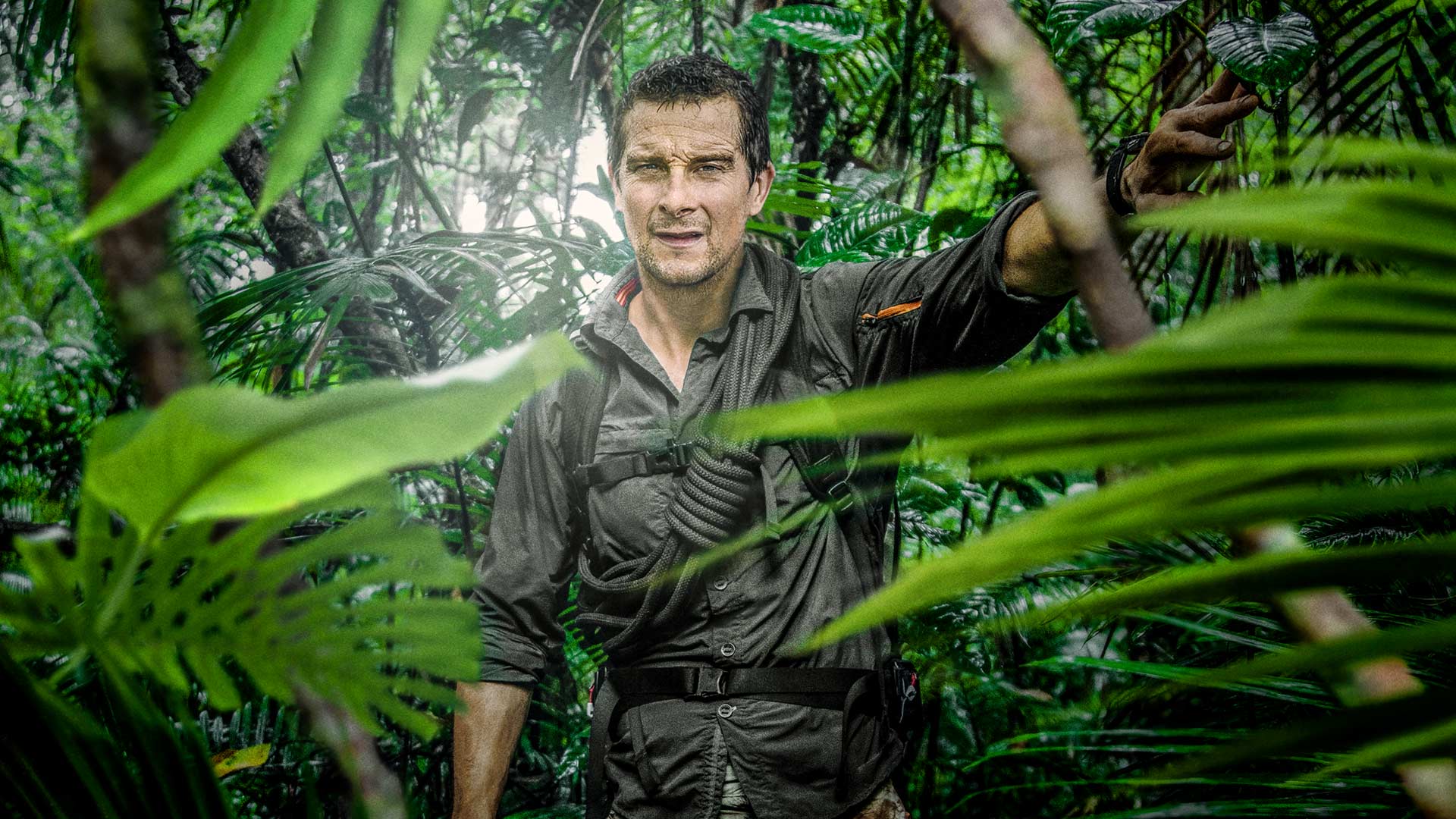 Выживание в лесу Bear Grylls