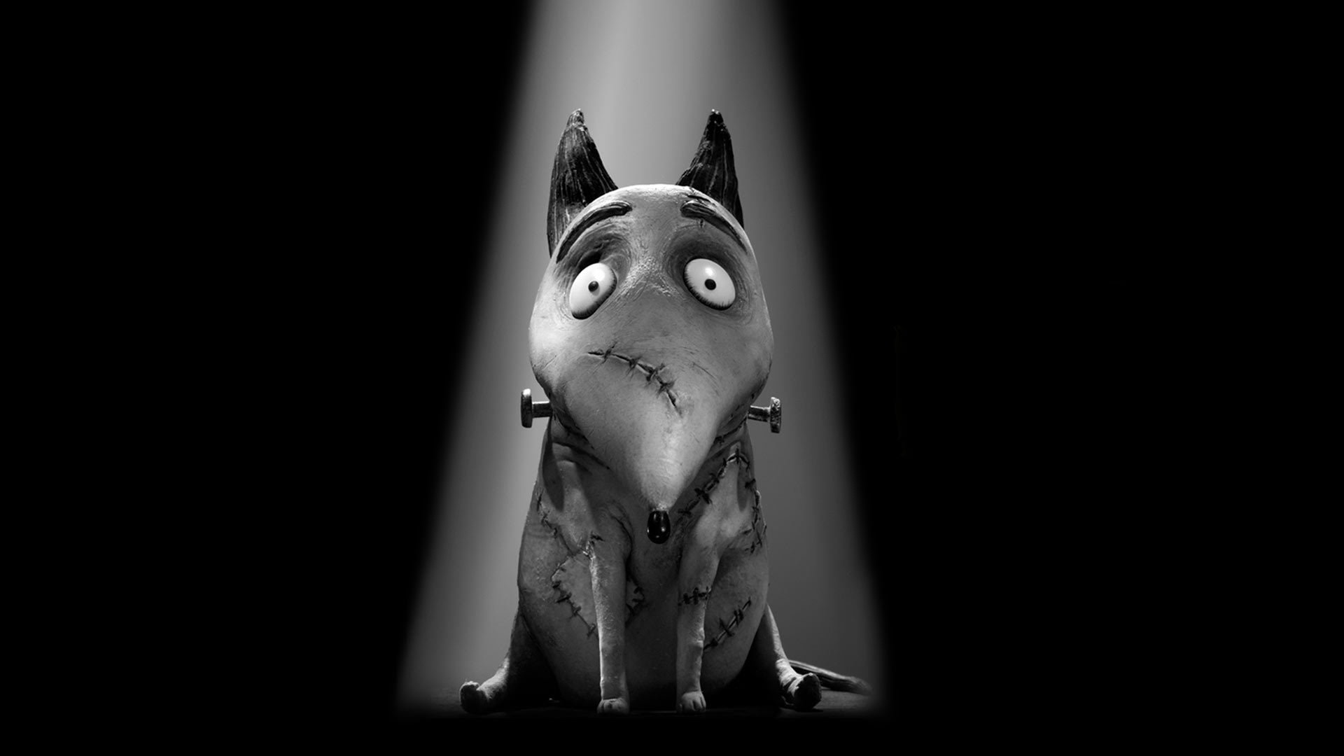 Frankenweenie on disney united arab emirates english cantonese