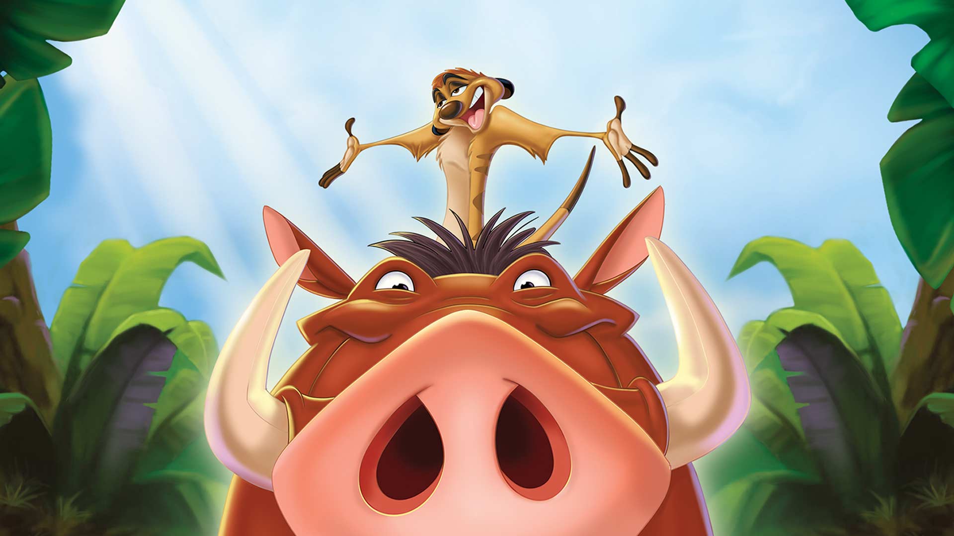 The lion king full on sale online