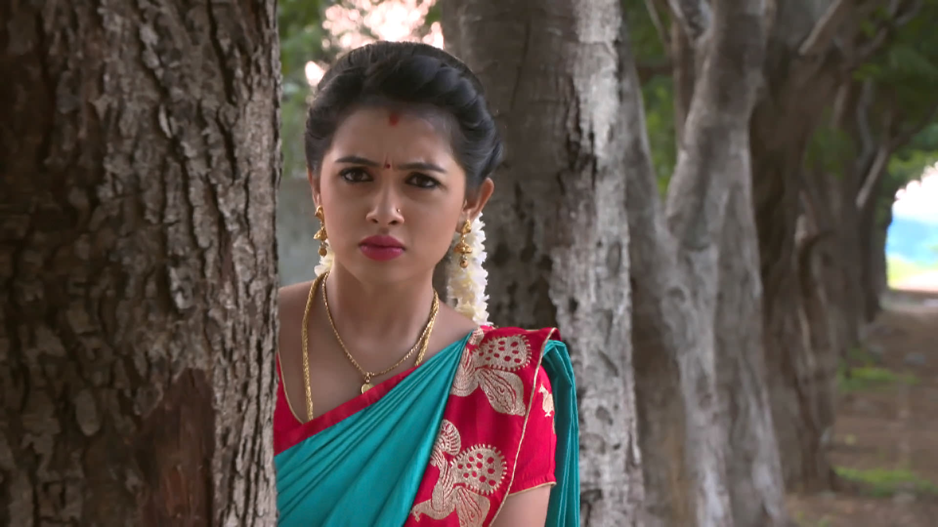 Agnisakshi telugu serial episode 1 sale