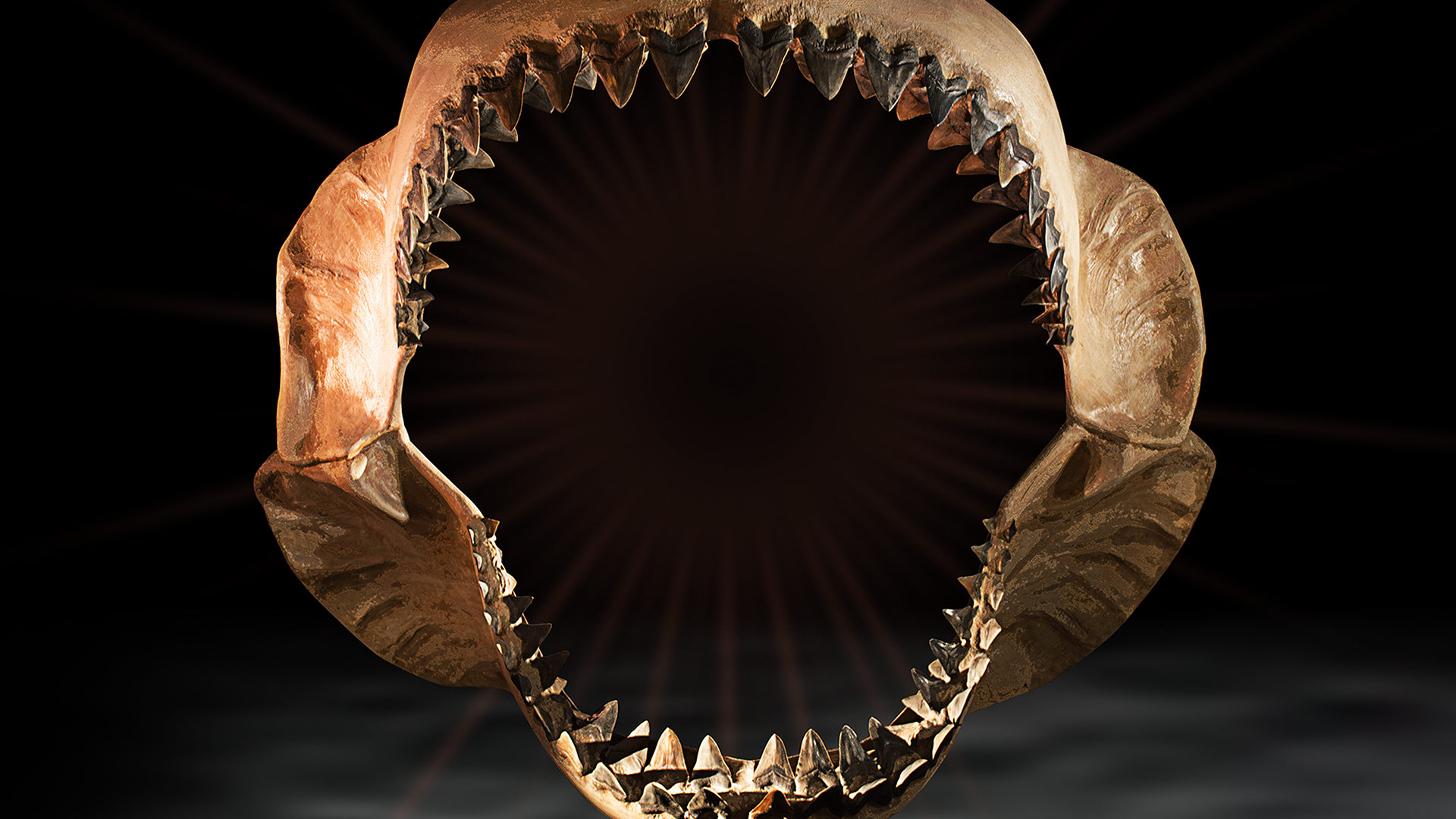 Top 10 Biggest Beasts Ever Disney+