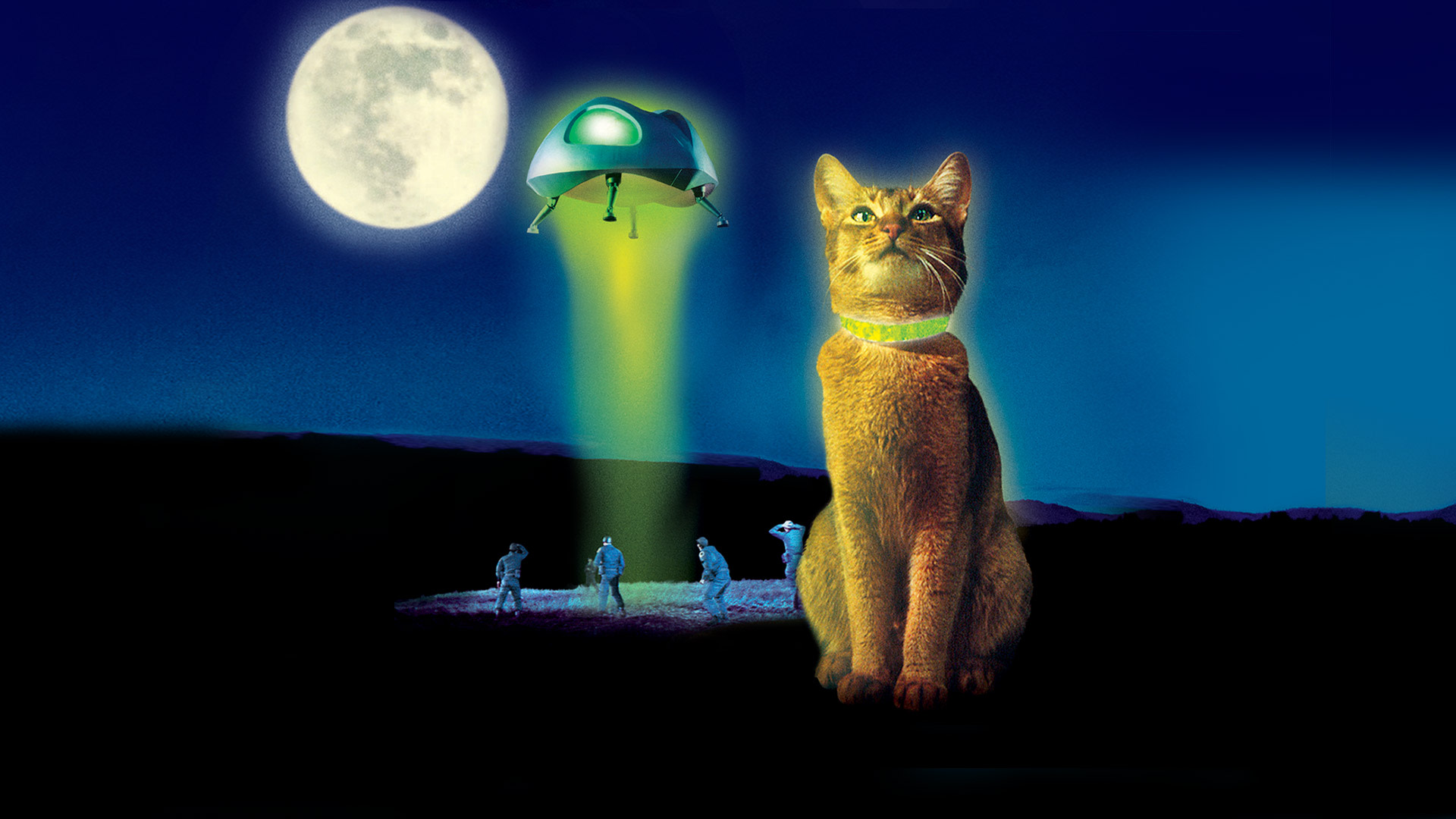Cat movie hd online clearance