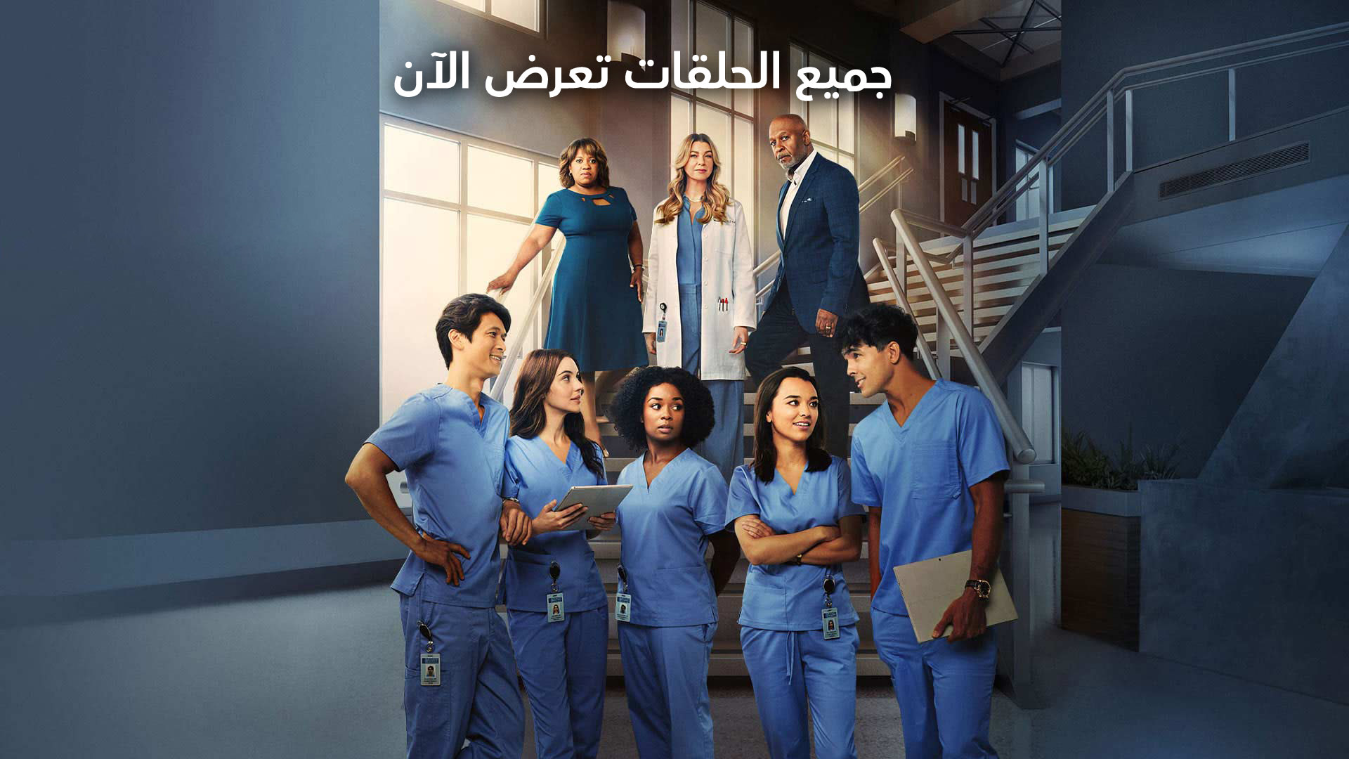 Grey's anatomy clearance online season 10