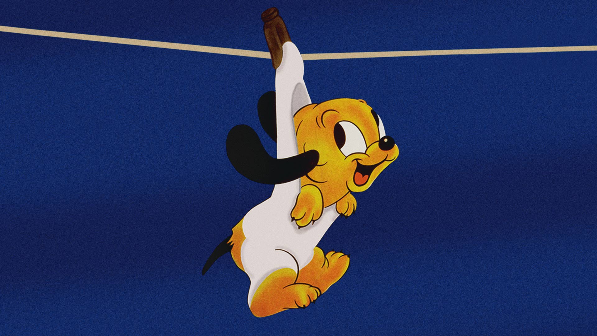 Disney+ | The greatest stories, all in one place