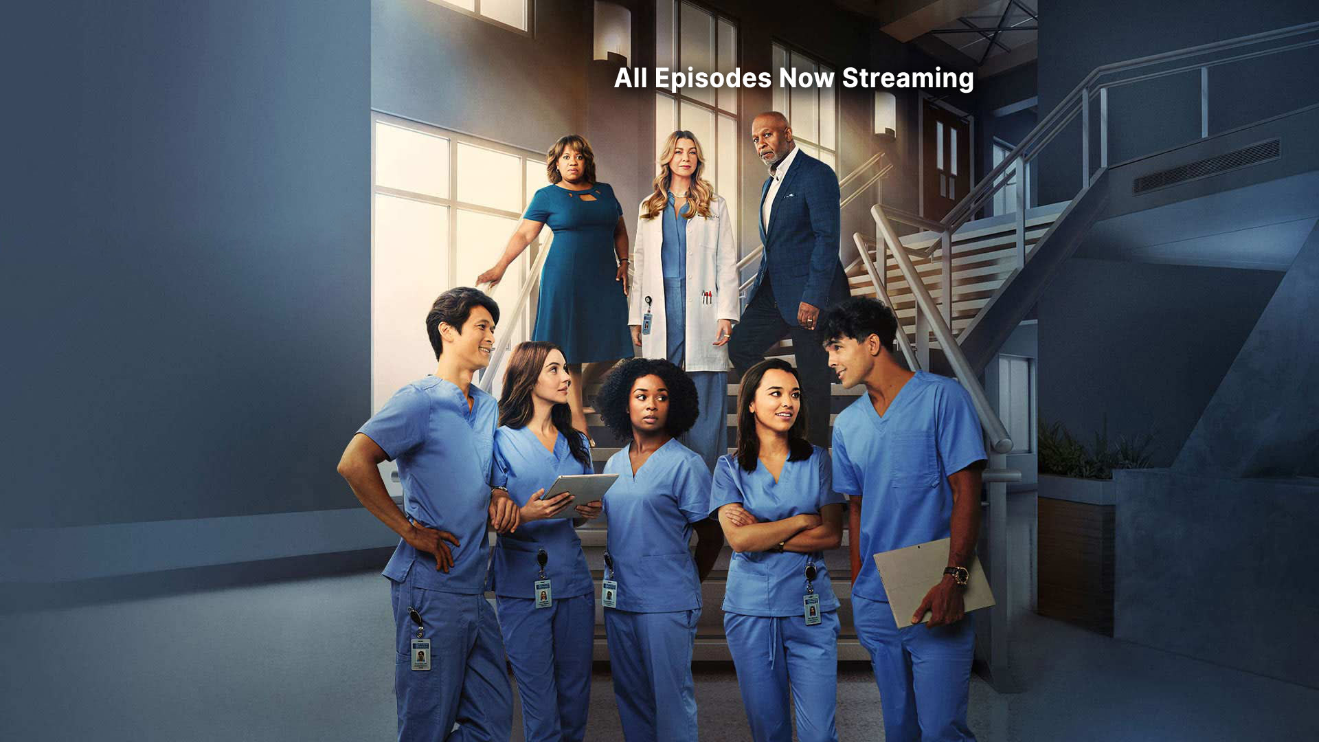 Grey's anatomy all seasons online new arrivals