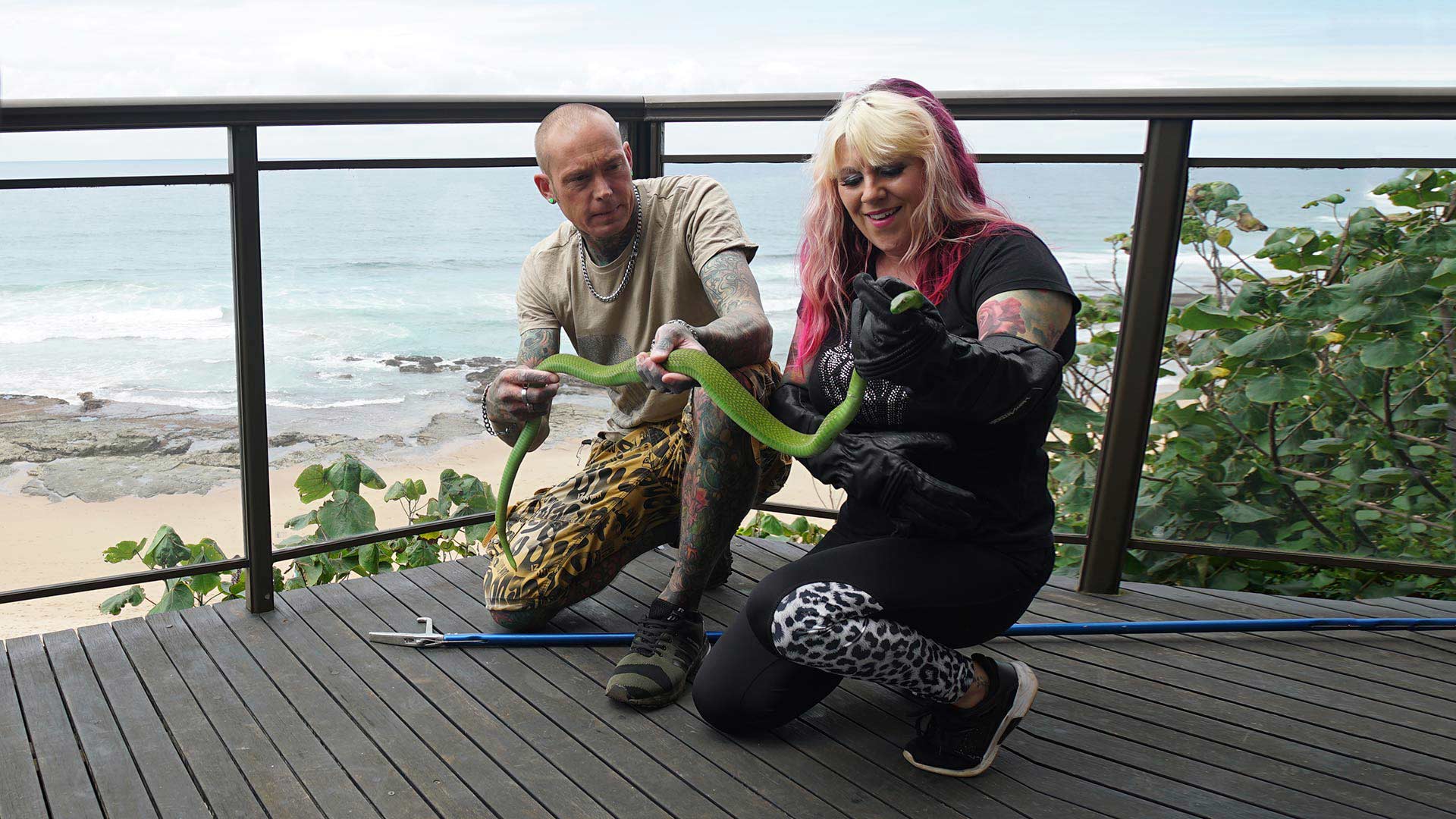 Disney+ The greatest stories, all in one place