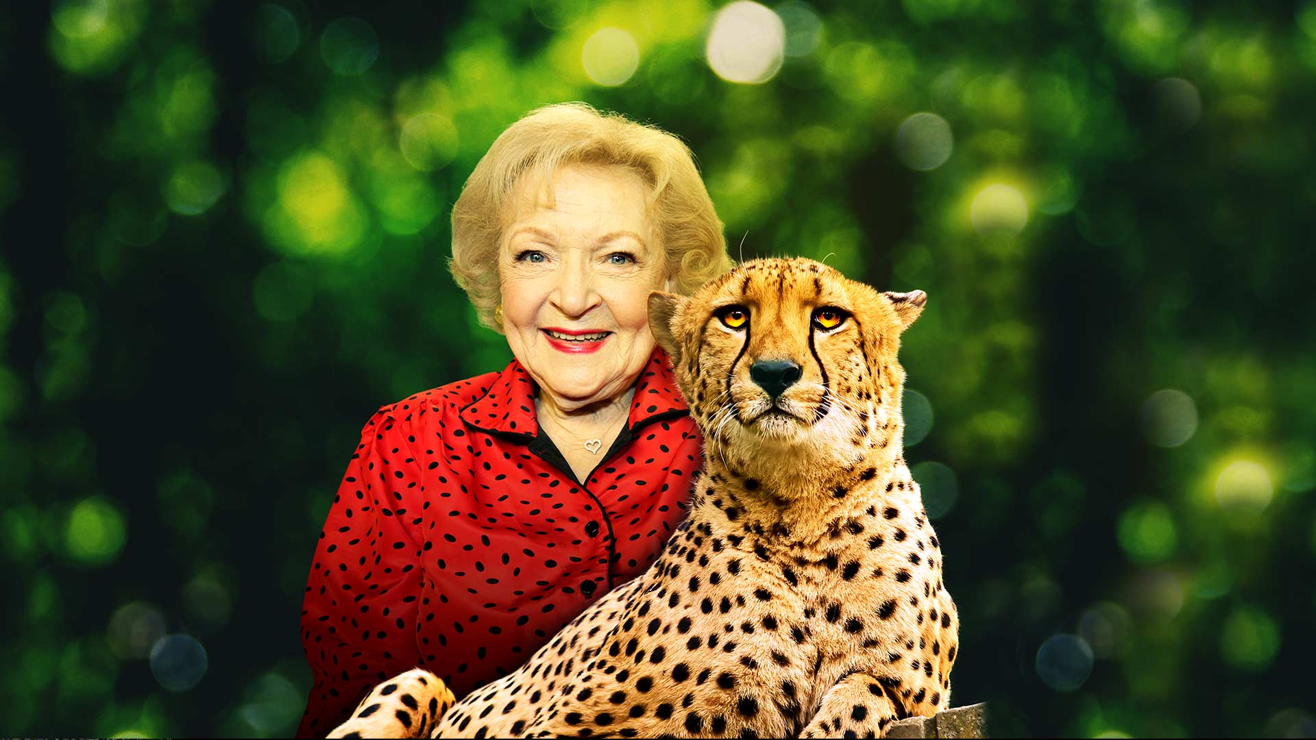 Betty White Goes Wild Disney+ Hotstar