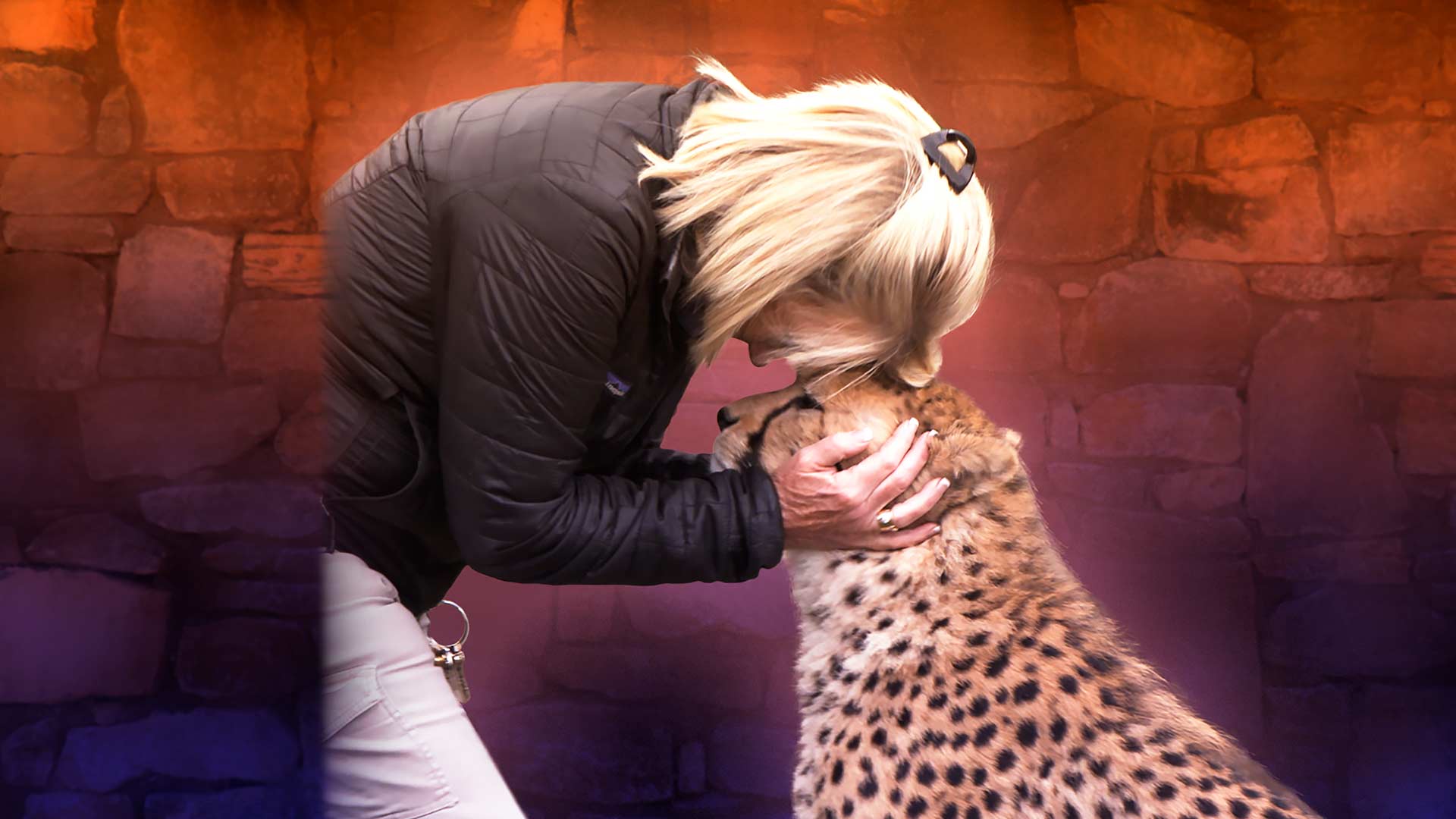 Secrets of the zoo disney 