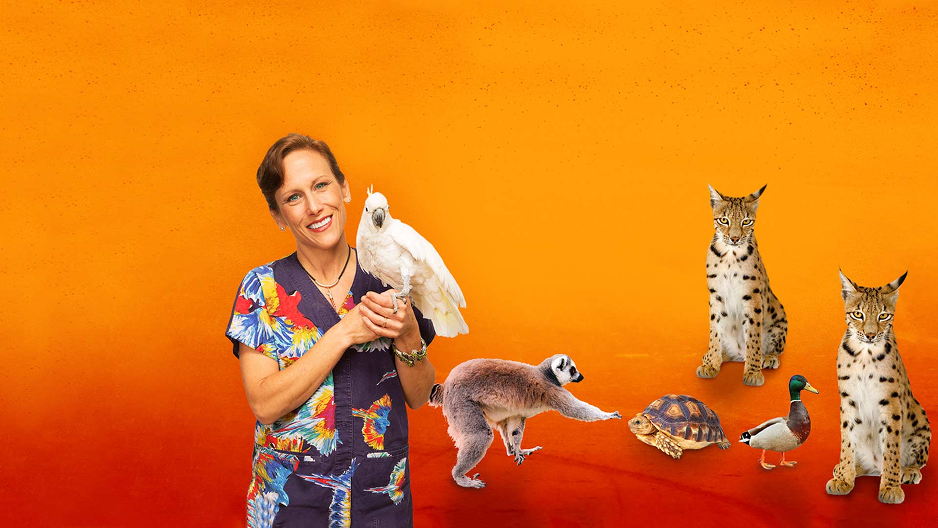 Dr. K's Exotic Animal ER on Disney+ South Africa English French