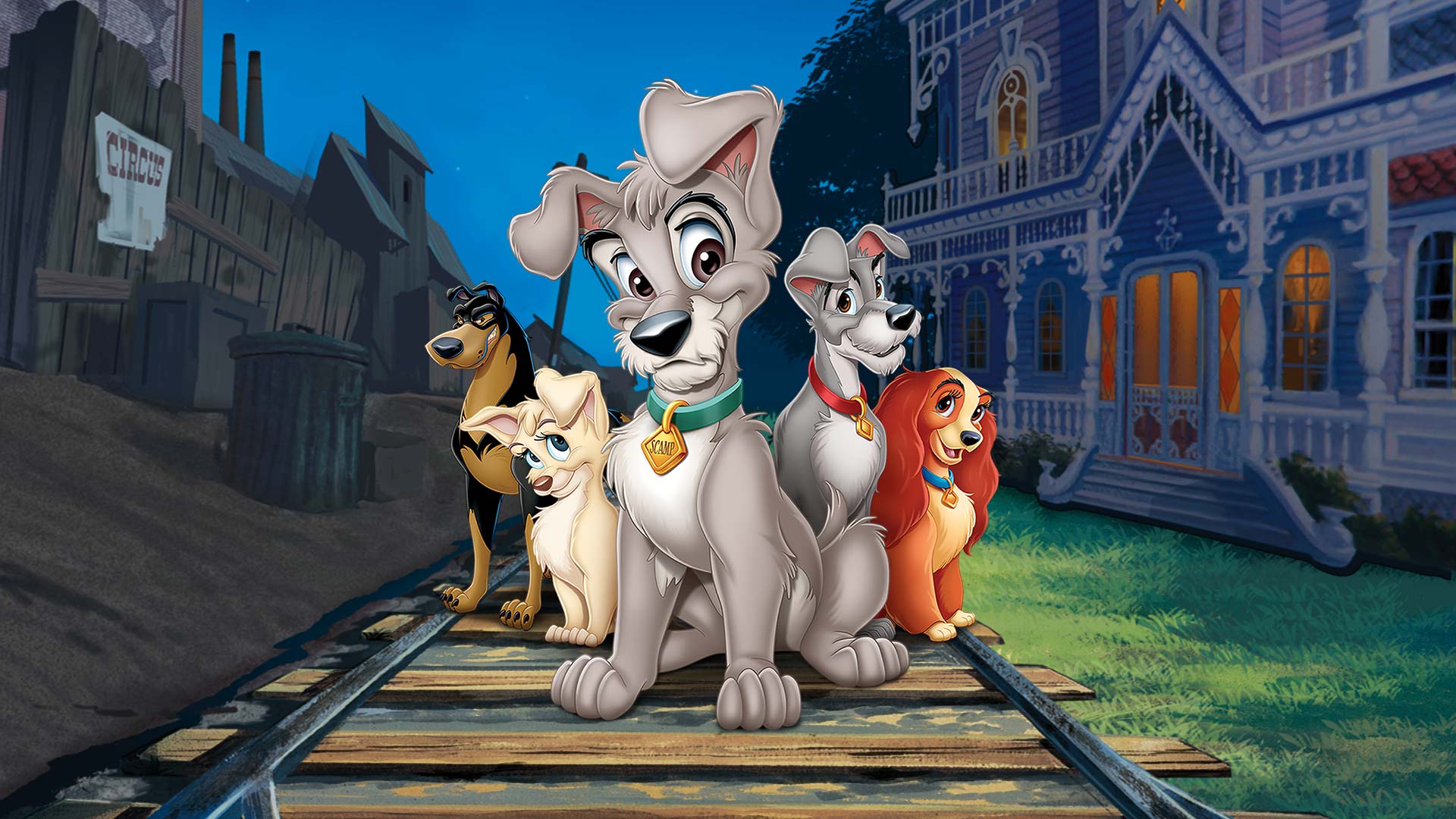 Lady and the Tramp II: Scamp's Adventure - Disney+