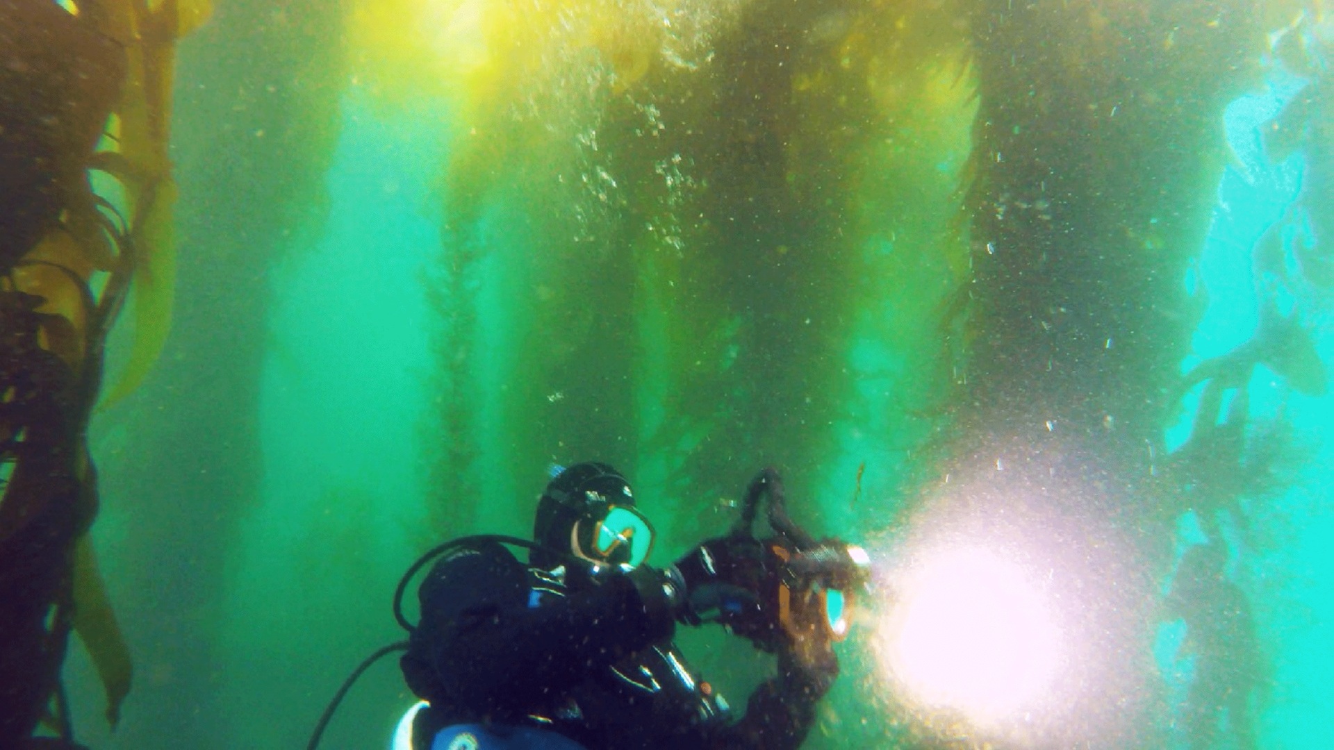 Nature Boom Time Disney+