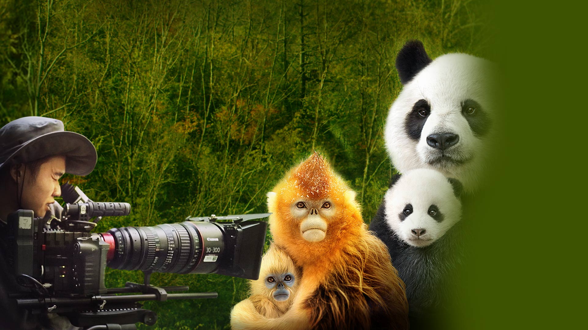 Expedition china disney 