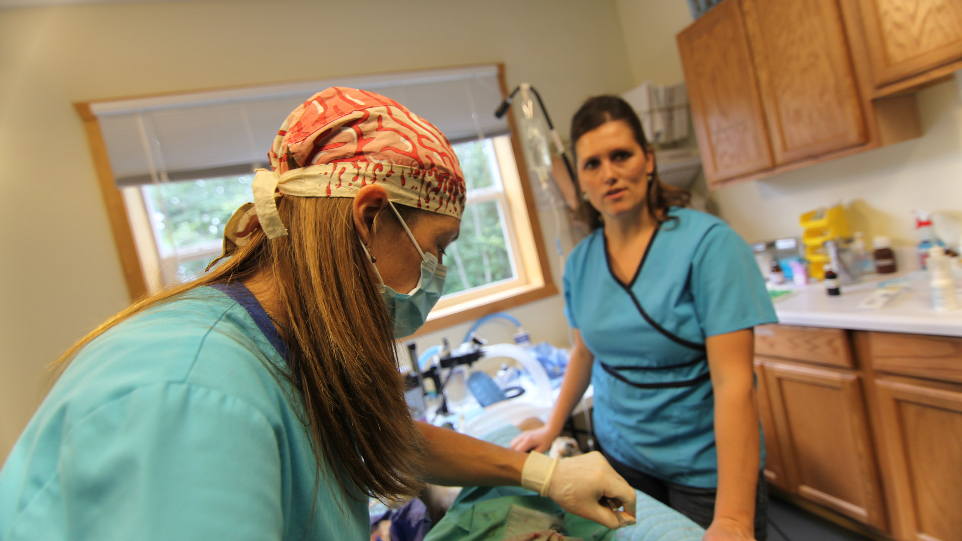 Dr. Oakley, Yukon Vet Disney+