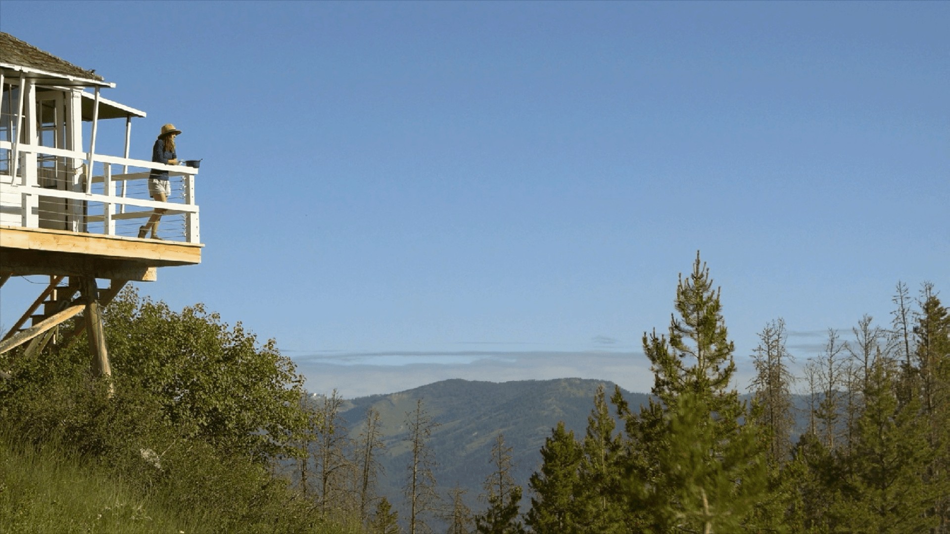 Nature Boom Time Disney+